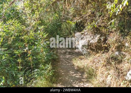 Steintreppen auf dem Pfad/Pfad, der zum Gipfel des Huayna Picchu-Berges bei Machu Picchu in Peru führt Stockfoto