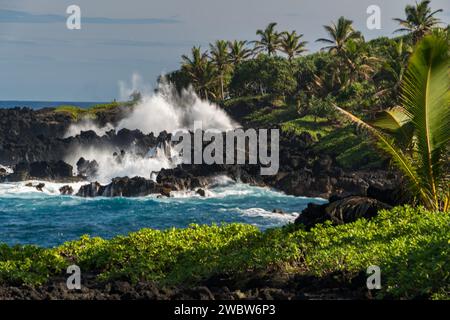 Zerklüftete Lavasteine und üppige Palmen umrahmen die dynamische Küste in der Nähe von Hana, Maui, wo die Energie des Ozeans voll zur Geltung kommt. Stockfoto