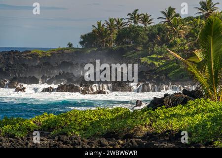 Zerklüftete Lavasteine und üppige Palmen umrahmen die dynamische Küste in der Nähe von Hana, Maui, wo die Energie des Ozeans voll zur Geltung kommt. Stockfoto