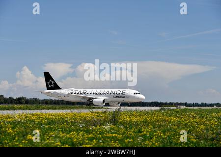 Star Alliance, airbus, a320, A320-200, Landung, Gewitter, Sturm, Sturmfront, Sturmwolke, Flughafen München, Flughafen, München, Bayern, Deutschland Stockfoto