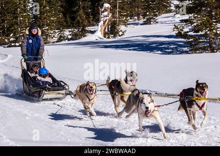 Musher-Frau; Vater und zwei Kinder Passagiere; Hundeschlittenteam in der Nähe des Monarch Pass; Rocky Mountains; Central Colorado; USA Stockfoto