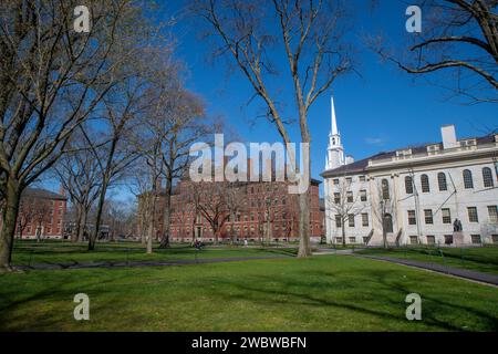 April 2020 Cambridge, Massachusetts, USA. John Harvard Statue vor der University Hall in Old Harvard Yard, Harvard University, Cambridge, MA. Stockfoto