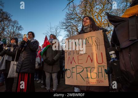 Den Haag, Südholland, Niederlande. Januar 2024. Pro-palästinensische Aktivisten sehen die Übertragung von Südafrikas Argument, dass Isreal Völkermord an dem palästinensischen Volk begeht. Am 11. Januar 2024 demonstrierten pro-israelische und pro-palästinensische Aktivisten vor dem Internationalen Gerichtshof in den Haag. (Kreditbild: © James Petermeier/ZUMA Press Wire) NUR REDAKTIONELLE VERWENDUNG! Nicht für kommerzielle ZWECKE! Stockfoto