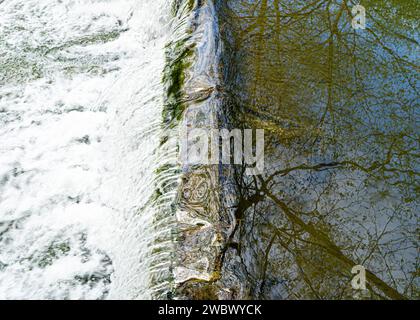 Wasserkaskadierung über Wehr mit weißem Schaumwasser Stockfoto