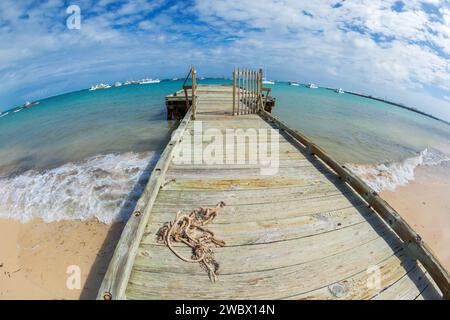 Wunderschöner abstrakter Sandstrand in Punta Cana, Dominikanische Republik. Blick auf die Fische. Stockfoto