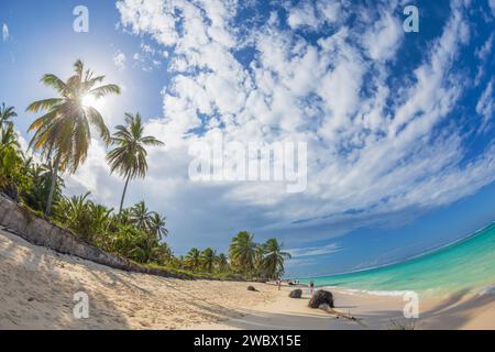 PUNTA CANA, DOMINIKANISCHE REPUBLIK - 11. MÄRZ 2020: Wunderschöner wilder Sandstrand in Punta Cana, Dominikanische Republik. Stockfoto