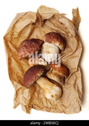 Eine Auswahl verschiedener Arten von Boletuspilzen auf einer Papiertüte. Stockfoto