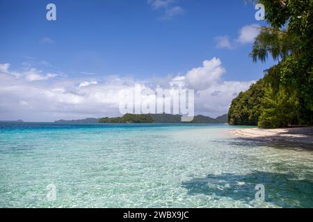 Wunderschöne Strände mit klarem Wasser in Palau, Mikronesien Stockfoto