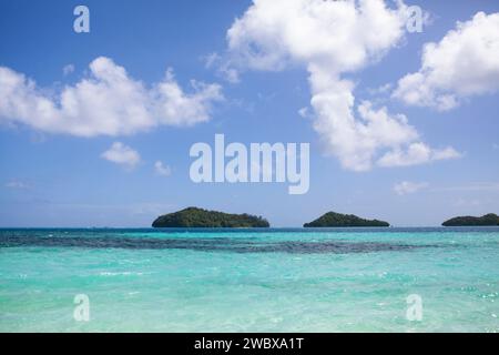 Wunderschöne Strände mit klarem Wasser in Palau, Mikronesien Stockfoto