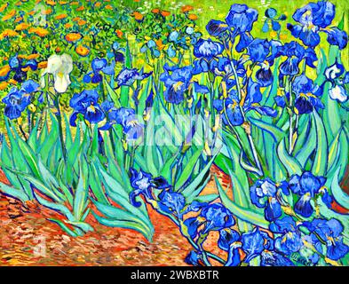 Iris, 1889 (Gemälde) des Künstlers Gogh, Vincent van (1853–90) Niederländisch. Stock Vektor