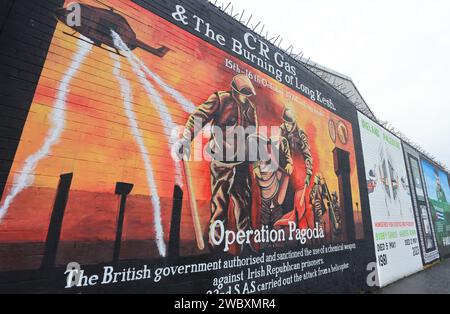 Die Northumberland Street verläuft zwischen der loyalistischen Divis Street und der unionistischen Shankhill Road, bekannt als International Wall, mit ihren berühmten Wandmalereien, NI. Stockfoto