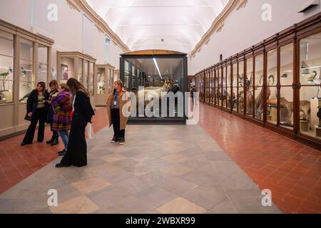 Italien Piemont Turin das regionale Museum der Naturwissenschaften - Credit: Realy Easy Star/Alamy Live News Stockfoto