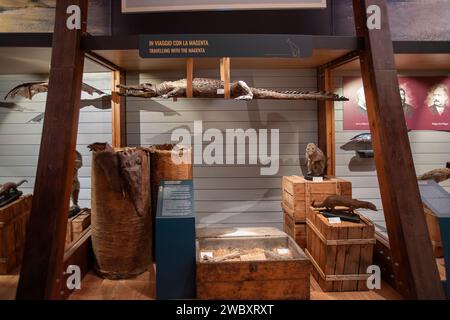 Italien Piemont Turin das regionale Museum der Naturwissenschaften - Credit: Realy Easy Star/Alamy Live News Stockfoto