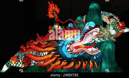 Chinesisches Laternenfest - Der Chinesische Drache Stockfoto