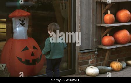 Kleines Kind vor dem Schaufenster, das auf Jack o Laterne und Geist im Inneren und orangefarbene Kürbisse auf Holzregalen blickt. Halloween, Kinderkonzept Stockfoto