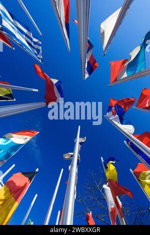 Fahnenmasten mit Nationalflaggen europäischer Länder in blauem Himmel, vor der Europäischen Patentorganisation in München, Bayern, Deutschland Stockfoto