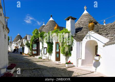 Leere Straße in Alberobello in der Vorsaison im April, mit Trulli, Souvenirläden, weißen chinesischen Wisterien ( Glyzinien sinensis alba) Stockfoto