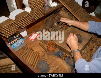 Demonstration der Herstellung, Herstellung von Vargas-Zigarren am Flughafen La Palma, Kanarischen Inseln, Spanien, Europa, Zigarrentabak Stockfoto