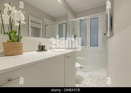 Badezimmer mit in die Wand integriertem Spiegel, Toiletten aus weißem Porzellan, Duschkabine mit Glasschiebetüren, Aluminiumfenstern und modernem Terrazzo Stockfoto