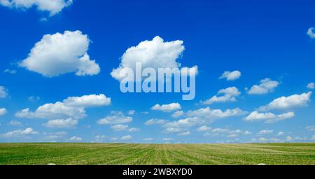 Feld mit blauem Himmel und weißen flauschigen Cumulus humilis Schönwetterwolken, Bayern, Deutschland, Europa Stockfoto