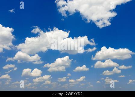 Blauer Himmel und weiße Cumulus-humilis-Wolken, in der Nähe von Matera, Italien, Europa Stockfoto