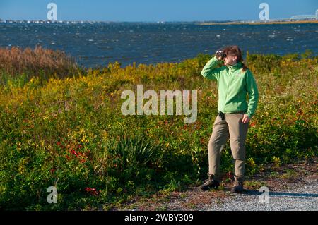 Vogelbeobachtung auf West Pond Trail, Jamaica Bay Wildlife Refuge, Gateway National Recreation Area, New York Stockfoto