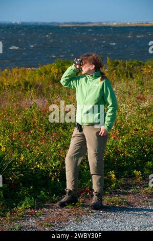 Vogelbeobachtung auf West Pond Trail, Jamaica Bay Wildlife Refuge, Gateway National Recreation Area, New York Stockfoto