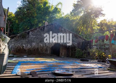 Traditionelle Bambushütte im Dorf Lazu, Arunachal Pradesh, Indien Stockfoto