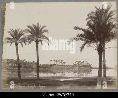 Blick auf das Dorf Memphis in Ägypten, Maison Bonfils, um 1895 - in oder vor 1905 fotografieren Teil von Reisalbum mit Fotos von Sehenswürdigkeiten in Griechenland und Ägypten. Memphis Papier. Fotografische Unterstützung Albumenabdruck Aussicht auf das Dorf, Silhouette des Dorfes. Oase. Bäume: Palme Memphis Stockfoto