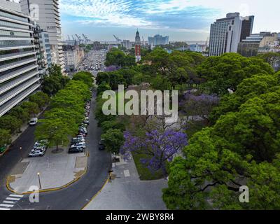 Plaza San Martin im Viertel Retiro mit Jacaranda-Bäumen mit violetten Blumen Stockfoto