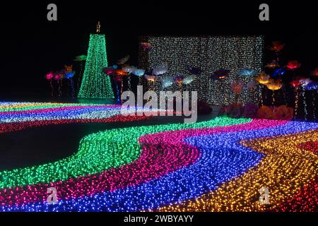 CHIANG Mai, THAILAND - 1. JANUAR 2024 : Blick auf den Blumengarten während des Neujahrsfestes beim bezaubernden Chiang Mai Blumenfest 2024, Thailan Stockfoto