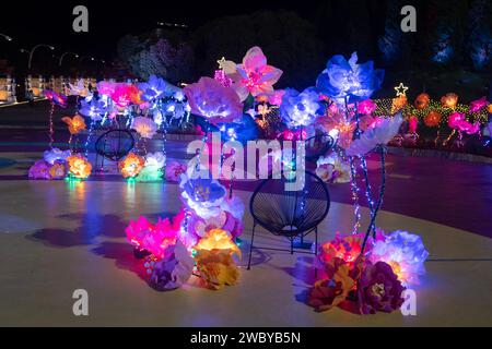 CHIANG Mai, THAILAND - 1. JANUAR 2024 : Blick auf den Blumengarten während des Neujahrsfestes beim bezaubernden Chiang Mai Blumenfest 2024, Thailan Stockfoto