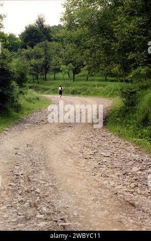 Vrancea County, Rumänien, ca. 1999. Ältere Frau, die auf einem unbefestigten Weg vor dem Dorf läuft. Stockfoto