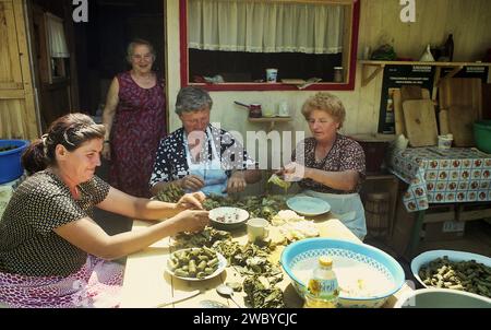 Vrancea County, Rumänien, ca. 1999. Eine Gruppe einheimischer Frauen bereitet traditionelle Kohl- und Traubenblätter für eine Veranstaltung vor. Stockfoto