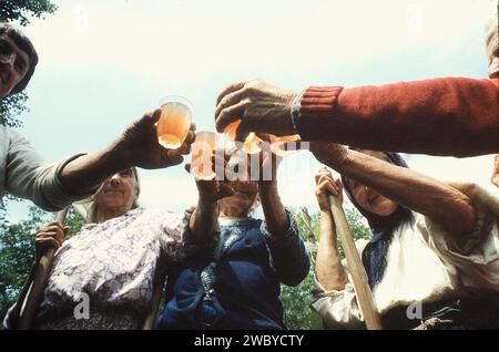 Vrancea County, Rumänien, ca. 1995. Gruppe von Bauern, die ein Glas hausgemachten Wein in einer kurzen Pause von ihrer Feldarbeit trinken. Stockfoto