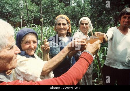 Vrancea County, Rumänien, ca. 1995. Gruppe von Bauern, die ein Glas hausgemachten Wein in einer kurzen Pause von ihrer Feldarbeit trinken. Stockfoto