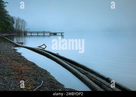 WA23909-00...WASHINGTON - Dock und Drift Baumstämme entlang des Seeufers an einem nebeligen Morgen in der Lake Crescent Lodge. Stockfoto