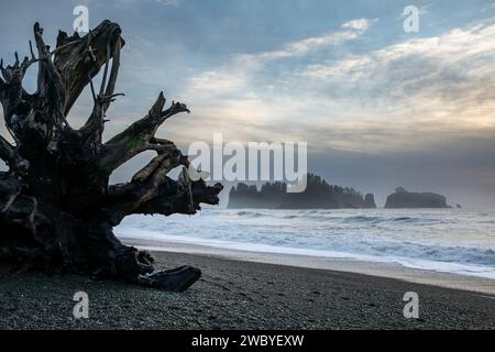 WA23940-00...WASHINGTON - James Island vom Rialto Beach im Olympic Naitonal Park aus gesehen. Stockfoto