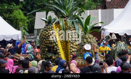 Ananasfest in Kelud, Kediri, Ost-Java, Indonesien Stockfoto