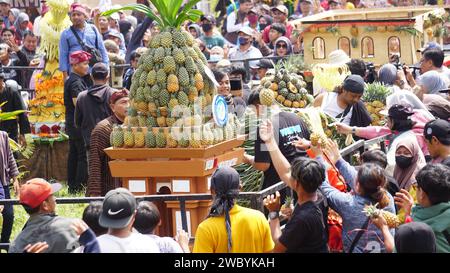 Ananasfest in Kelud, Kediri, Ost-Java, Indonesien Stockfoto