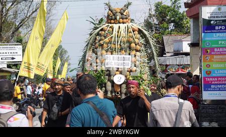 Ananasfest in Kelud, Kediri, Ost-Java, Indonesien Stockfoto