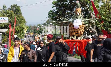 Ananasfest in Kelud, Kediri, Ost-Java, Indonesien Stockfoto