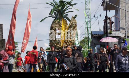 Ananasfest in Kelud, Kediri, Ost-Java, Indonesien Stockfoto