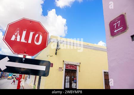 Merida Mexico, Centro Historico Central Historico Central Historico, Calle 77, Gebäude, Stoppschild, Wohnhäuser, Wohnhäuser, Erhaltung, Außenfassade, gebaut Stockfoto