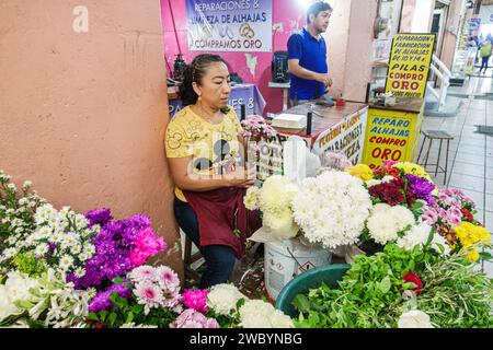 Merida Mexico, Centro Historico Central Historico Central Historico, Geschäft Geschäft Geschäft Geschäft Händler Markt Markt, Verkauf kaufen, Shopping Shopper Wirtschaft, Geschäft Stockfoto