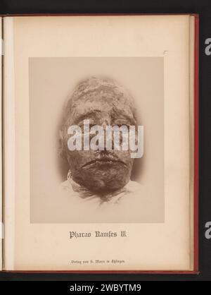 Kopf der Mumie von Pharao Ramses III., Anonym, Samuel M. Mayer, 1886 fotografische Unterstützung Albumenabdruck Mumie. könig Ägypten Stockfoto