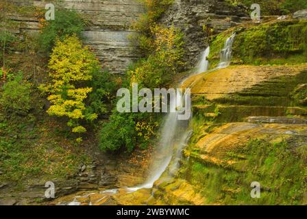 Lucifer fällt, Robert H Treman State Park, New York Stockfoto