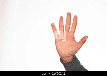 Frau Hand Hand Palme aginst weiß Hintergrund Stockfoto