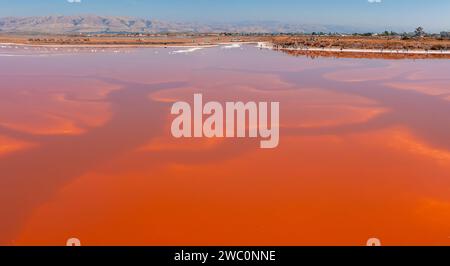 Rosa Salzteiche im Alviso Marina County Park Stockfoto