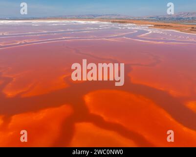 Rosa Salzteiche im Alviso Marina County Park Stockfoto